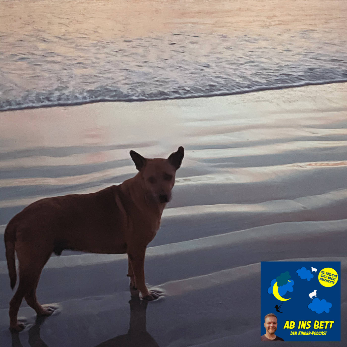 #1617 Louis und der Hund am Strand